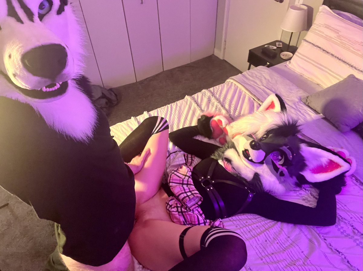 Shiseimm packt (@LSoldier9)  X