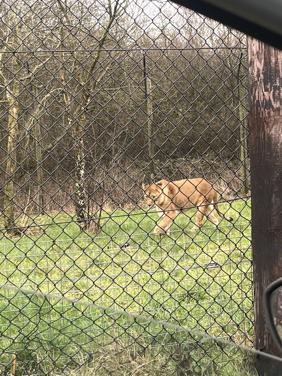 Chloe Barton tweet media