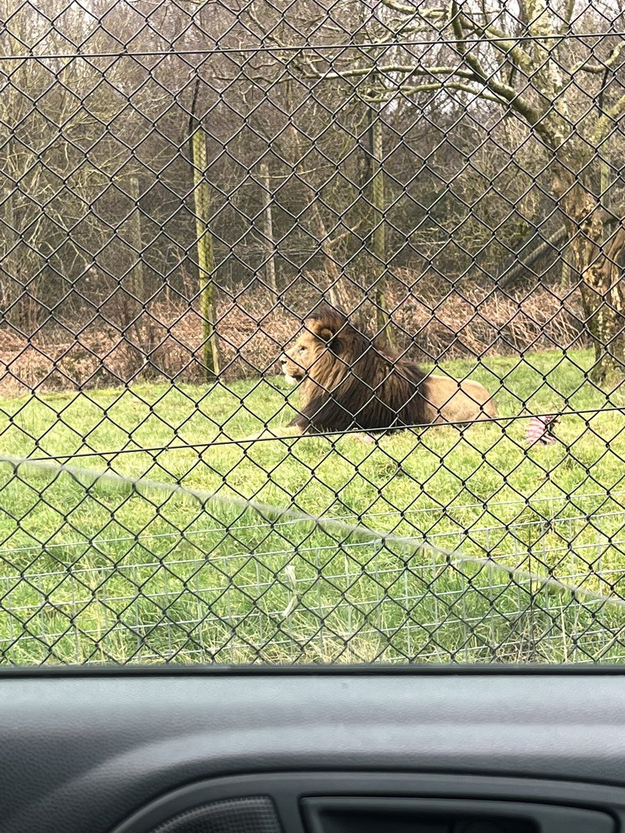 Chloe Barton tweet media