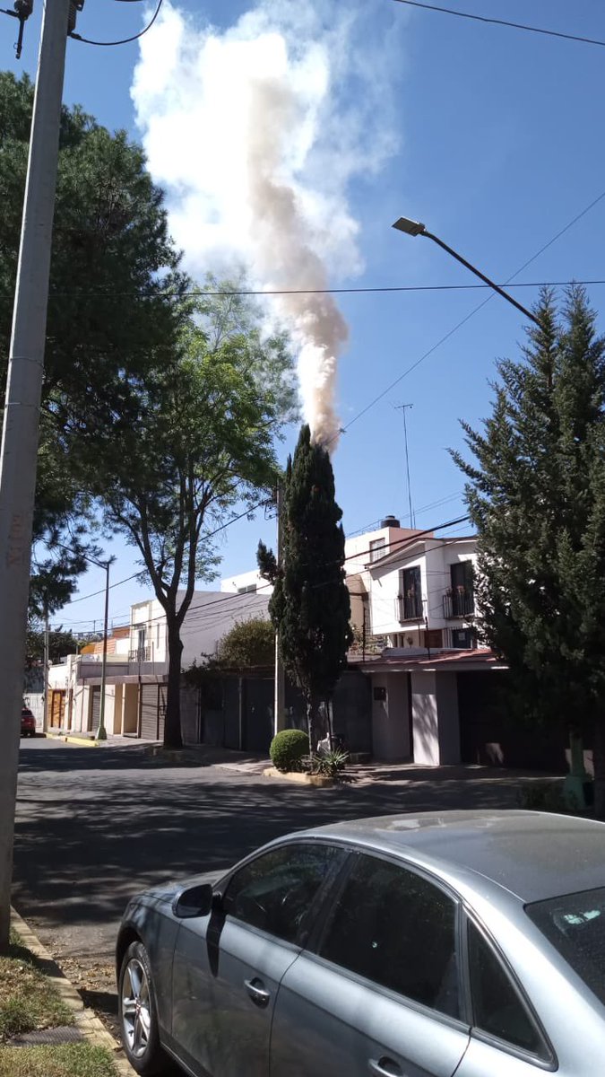 EnlaceTAguilas's tweet photo. 🔥 @Bomberos_CDMX solicitamos su apoyo
Incendio de árbol en calle Halcones en fraccionamiento Loma de Guadalupe. Acceso sobre Calzdelas Águilas cercano entrada a Supervia. En @AlcaldiaAO apoyo #ProteccionCivil
Agradecemos @SSC_CDMX inmediata respuesta #Heracles #SectorAlpes https://t.co/MHrgNiQC0h