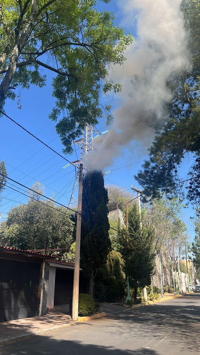 EnlaceTAguilas's tweet photo. 🔥 @Bomberos_CDMX solicitamos su apoyo
Incendio de árbol en calle Halcones en fraccionamiento Loma de Guadalupe. Acceso sobre Calzdelas Águilas cercano entrada a Supervia. En @AlcaldiaAO apoyo #ProteccionCivil
Agradecemos @SSC_CDMX inmediata respuesta #Heracles #SectorAlpes https://t.co/MHrgNiQC0h