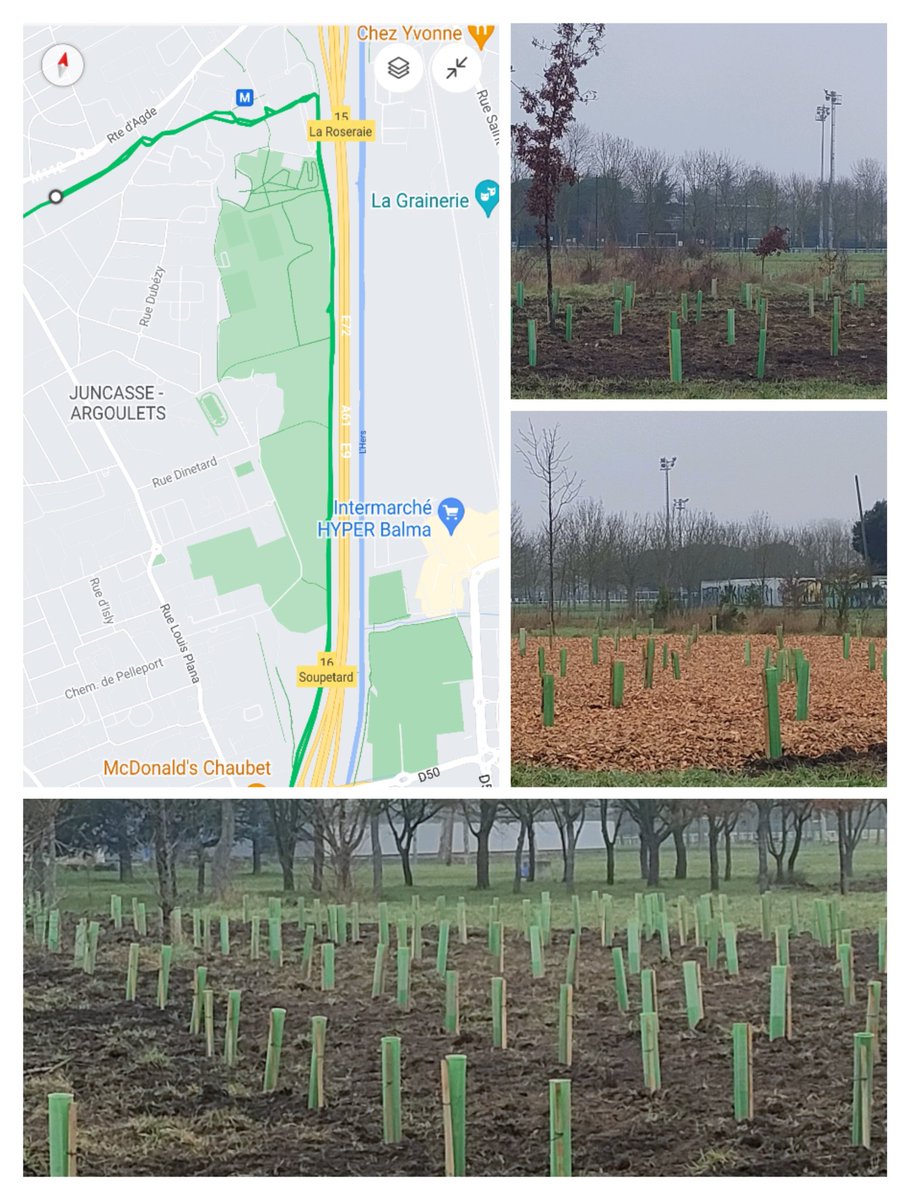 lcgiraudmorel's tweet photo. Très heureux de voir lors de mon footing matinal, les plantations du week-end dernier à la base verte des #Argoulets : 500 nouveaux 🌳🌳🌳 !
#Toulouse avec @jlmoudenc a pris la mesure de l'enjeu climatique et agit pour demain !
#Plan1000arbres https://t.co/NOsyeKZ38g
