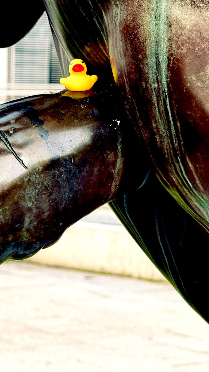 jaysonstreet's tweet image. This poor guy looked so sad so I had to give him a friend! 😁 #DuckArmyInvasion