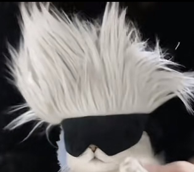 Ramdomdude16's tweet photo. @animevibe88 Please don’t make me https://t.co/N0yx5zOJiY