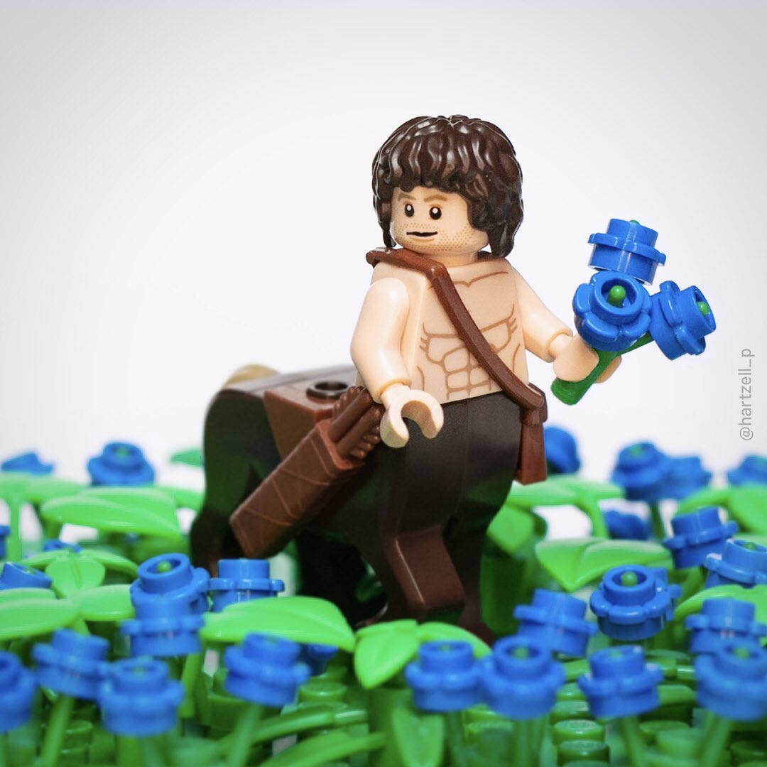 #legosanditon reveals an offscreen #sanditon character! 

”In the myth, he used them to heal his wounds from the poisoned arrows.” 🏹🩸🩹

#chironthecentaur #cornflowers #sanditonS2 #customlegominifigure #puristlegominifigure #afol #moc