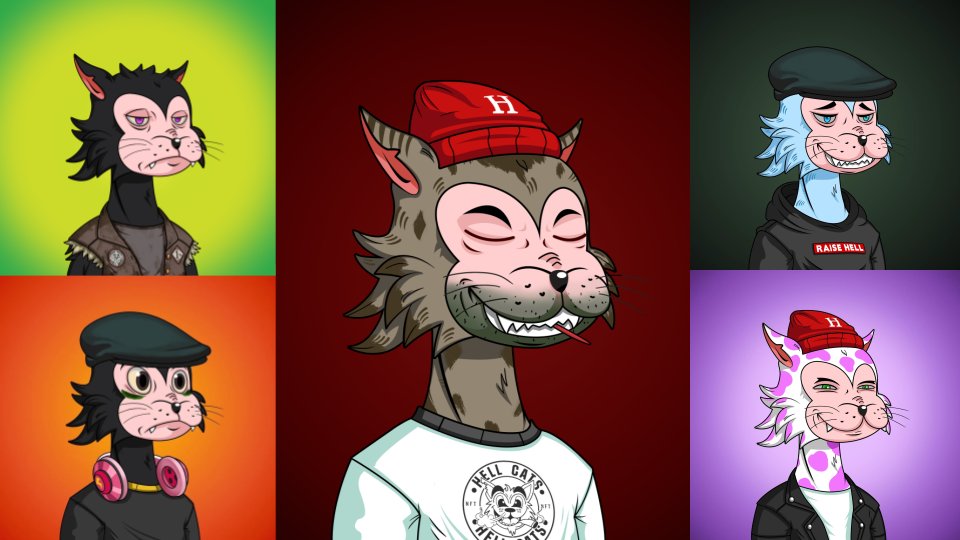 AlanC | HC 🌒🉐 tweet media