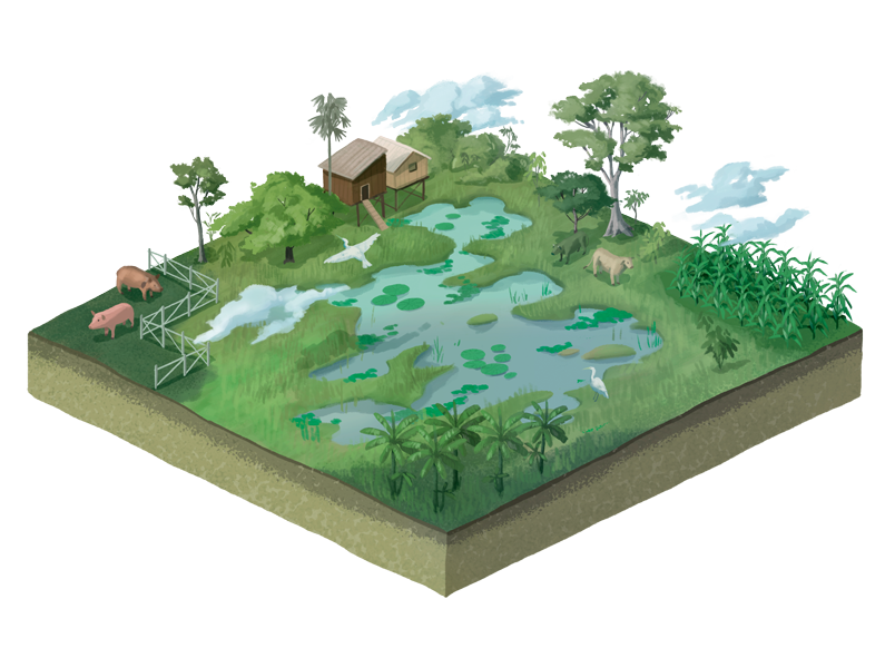 inst_humboldt's tweet photo. ¿Conocías el término Soluciones basadas en la Naturaleza - SbN?
Estas son estrategias para la gestión del cambio climático en diferentes ecosistemas.
Por ejemplo para humedales, una de las herramientas es la gestión de cuencas hidrográficas.
Conoce más 👉https://t.co/bpBt9rpND7 https://t.co/1XkfYDOEe3