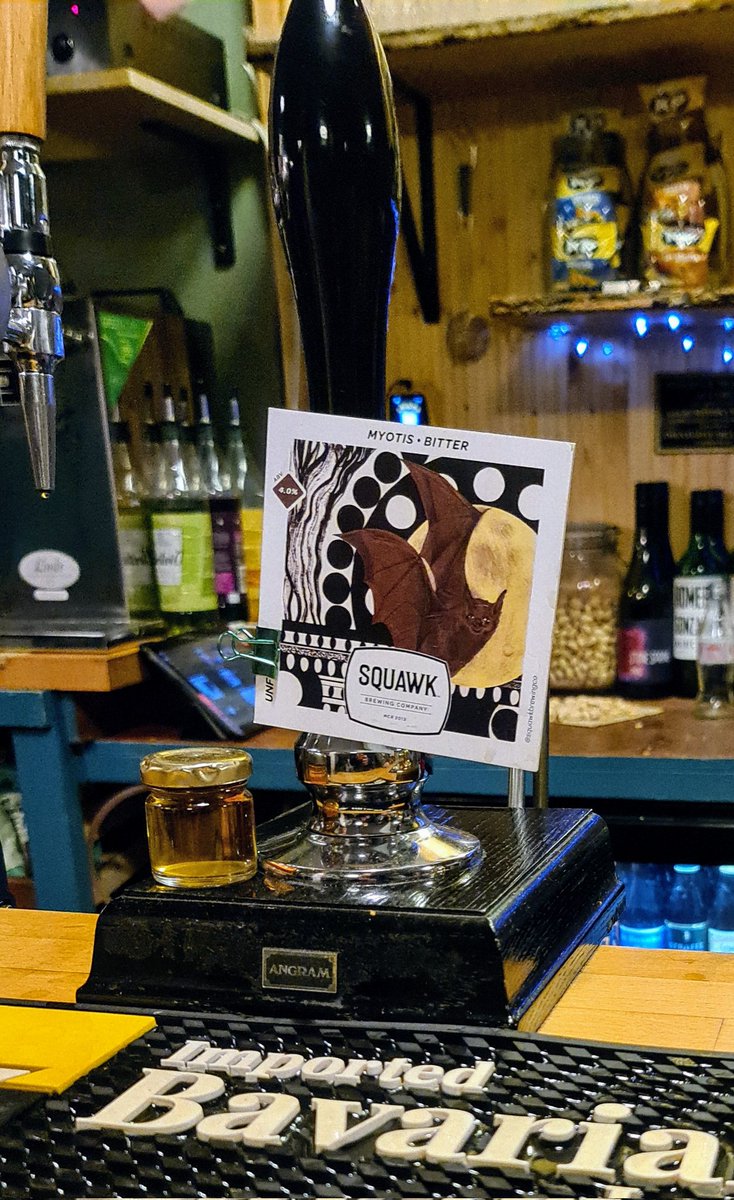 <a href="/RatBrewery/">Rat Brewery</a> Ratmospheric and <a href="/SQUAWKBrewingCo/">SQUAWK BREWING CO</a> Myotis Bitter both exceptional at <a href="/petersgate_tap/">Petersgate Tap (also on Bluesky)</a>