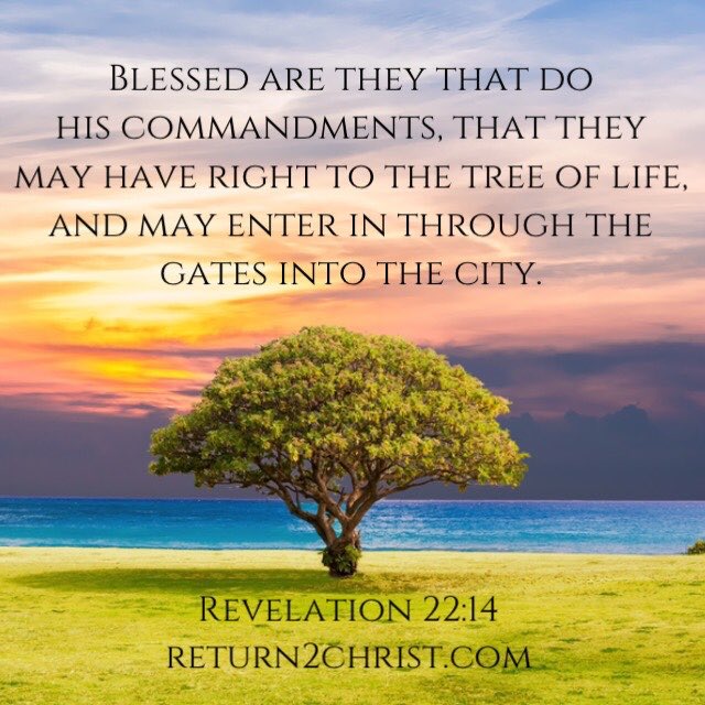 CamilleMonk's tweet photo. @AaronInWriting Daily, we battle both, our own flesh, and the demons. But thanks be to God, who in the Messiah constantly leads us in victory, and through us spreads everywhere the fragrance of what it means to know Him! Thank you #Yeshua #Messiah #PassoverLamb #HighPriest and coming #King! https://t.co/trkvCY1ylX