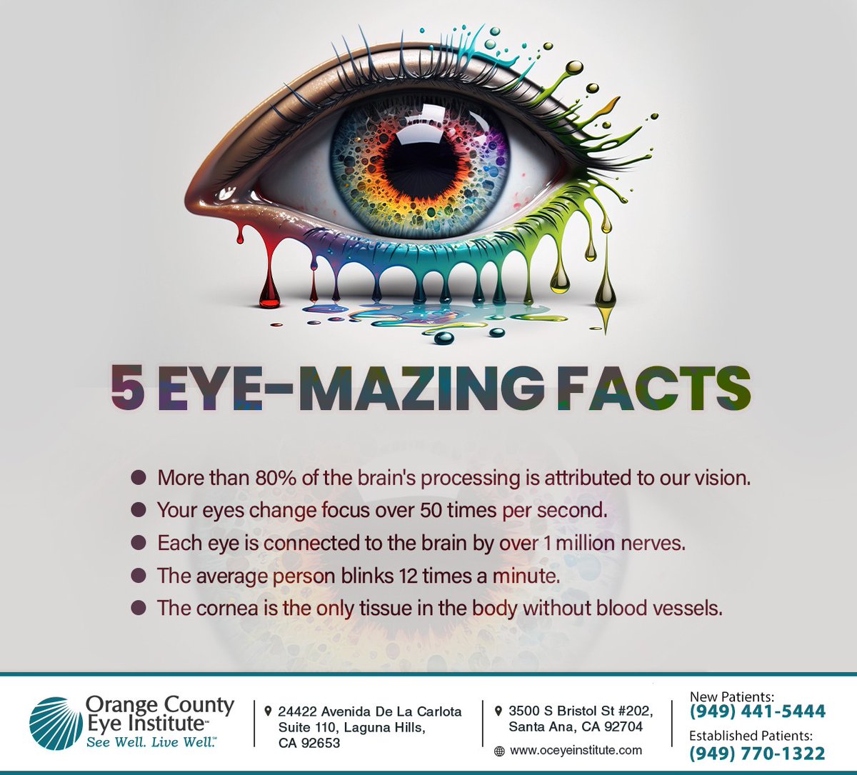 OCEyeInstitute's tweet image. Your eyes are the second most complex organ in your body. Here are some eye-amazing facts about your eyes. #eyefacts #eye #eyehealth #lagunahills #CA #oceyeinstitute
