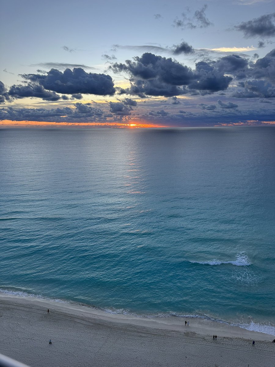 Sharon Branch tweet media