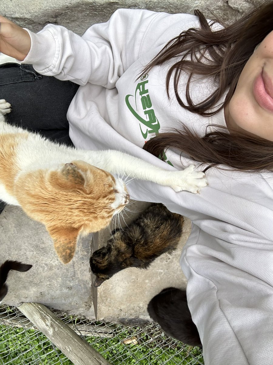 Hoy por el trabajo visité Hogar Amigo Fiel 🥺 hay 125 gaticos en adopción 🥺🥺🥺🥺 el naranjita se llama Jonás y tiene 15 añitos, lleva 10 en la fundación 😭😭😭😭😭 si no pueden adoptar, compartan y donen, por favor💘

instagram.com/hogaramigofiel…