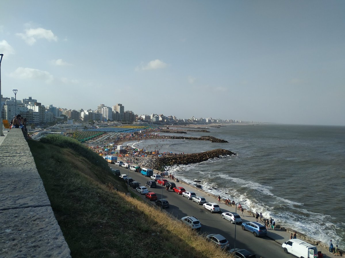MDQ