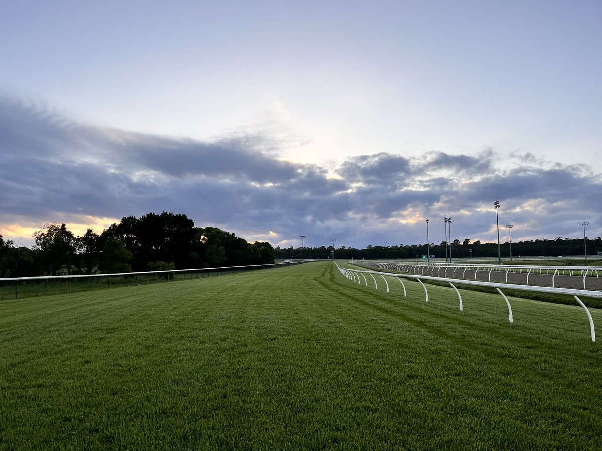 Sunshine Coast Latest Track Update Weather Fine Track Soft 5 Rainfall nil past 24hrs Total of 137mm past 7 days Irrigation 5mm past 24hrs Total of 5mm past 7 days Rail out 6m entire course Penetrometer 6.80