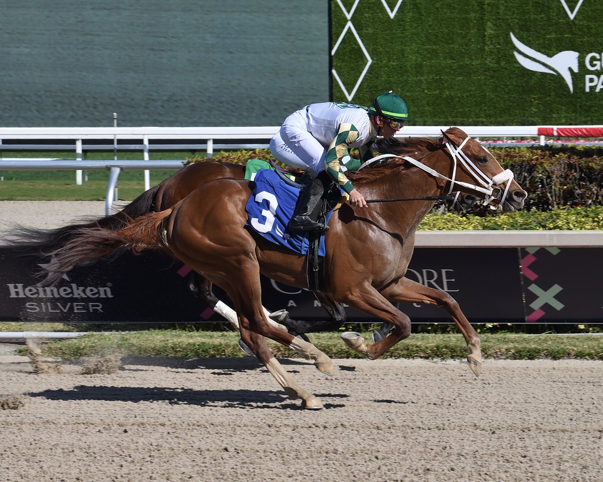 Real Macho surges late to win an Allowance Optional Claiming, @Tyler_Gaff in the saddle. Thanks and congratulations to trainer Rohan Crichton and owner Reeves Thoroughbred Racing, Daniel Walters, and Dennis Smith. #GulfstreamPark #ChampionshipMeet 📷 @coglianesephoto.