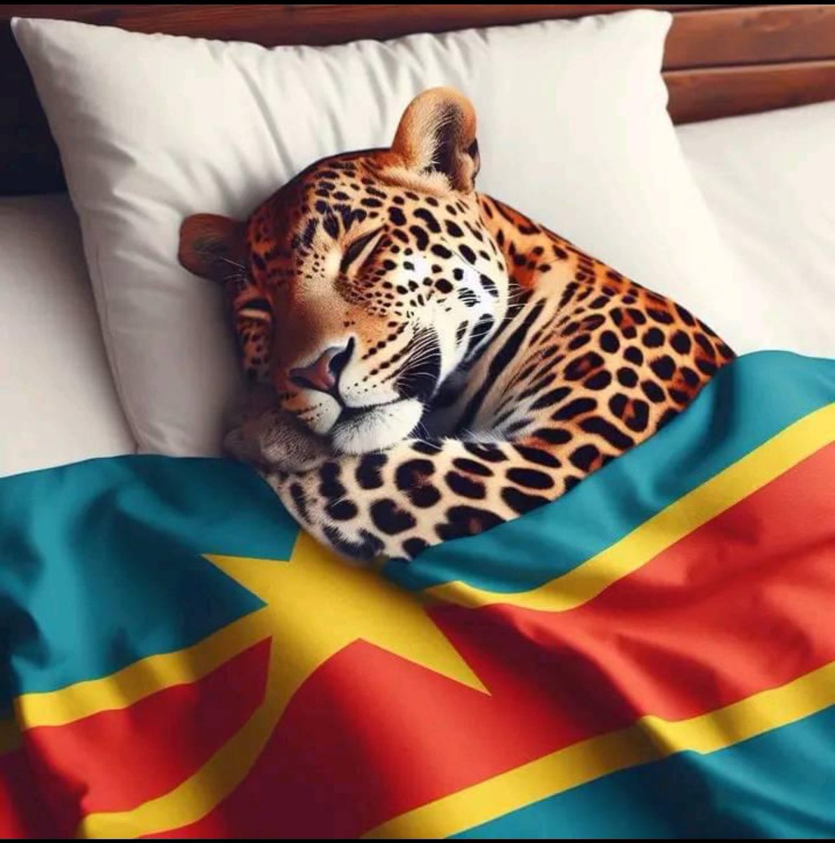 MarcusMuntu's tweet image. Si tu Aime la #RDC laisse un cœur sur cette photo.