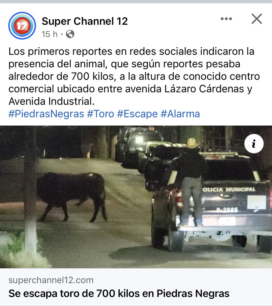 OutOfContextCOA's tweet photo. Alguien: “Piedras Negras no es un rancho”

Las noticias de Piedras Negras: https://t.co/TIpQziSkvz