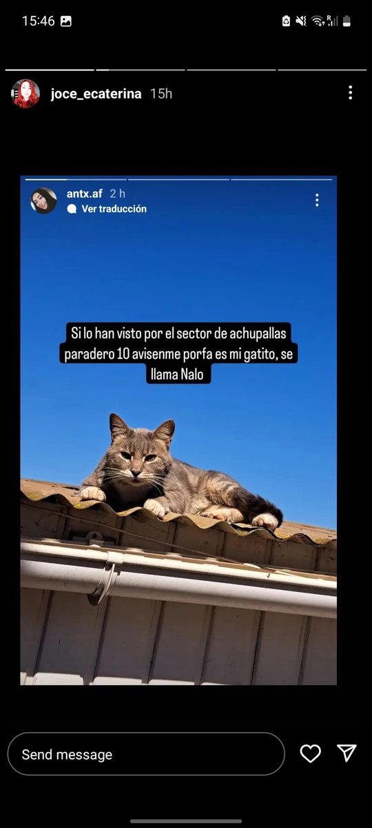 kmsgf13's tweet photo. se perdieron estos 2 gatos y 1 perro en el paradero 10 de achupallas el perro responde a blacky, el gato café a nalo y la gatita blanca con naranjo y negro, minnie

contactos al IG @joce_ecaterina o @antx.af 
+56 9 41642164
#mascotasincendio #viña #incendio #IncendioForestal https://t.co/fFeVRUEyu0