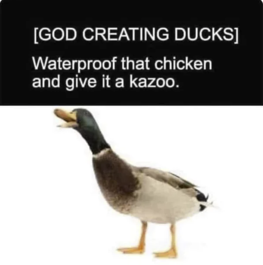 Respectful Memes (@respectfulmemes) on Twitter photo 
