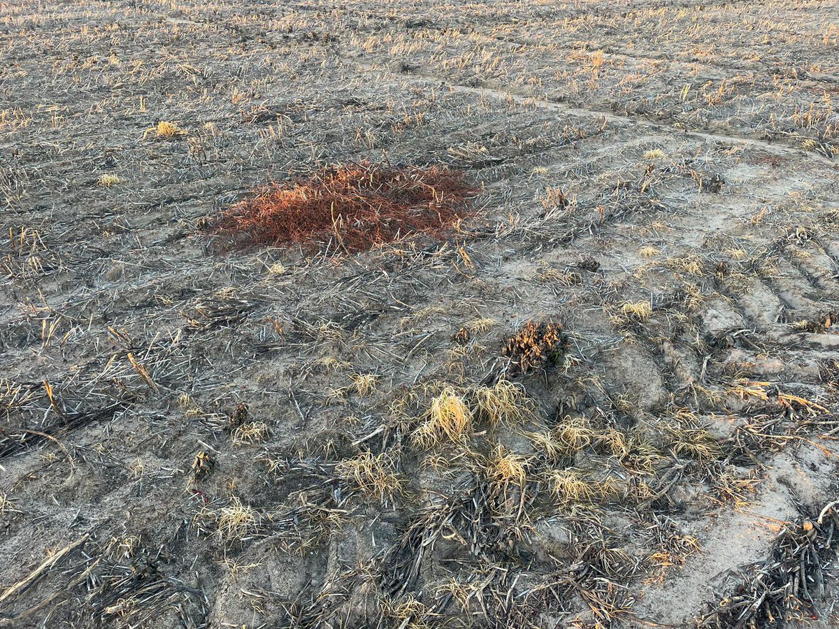 Rick Rundell-Gordon tweet media