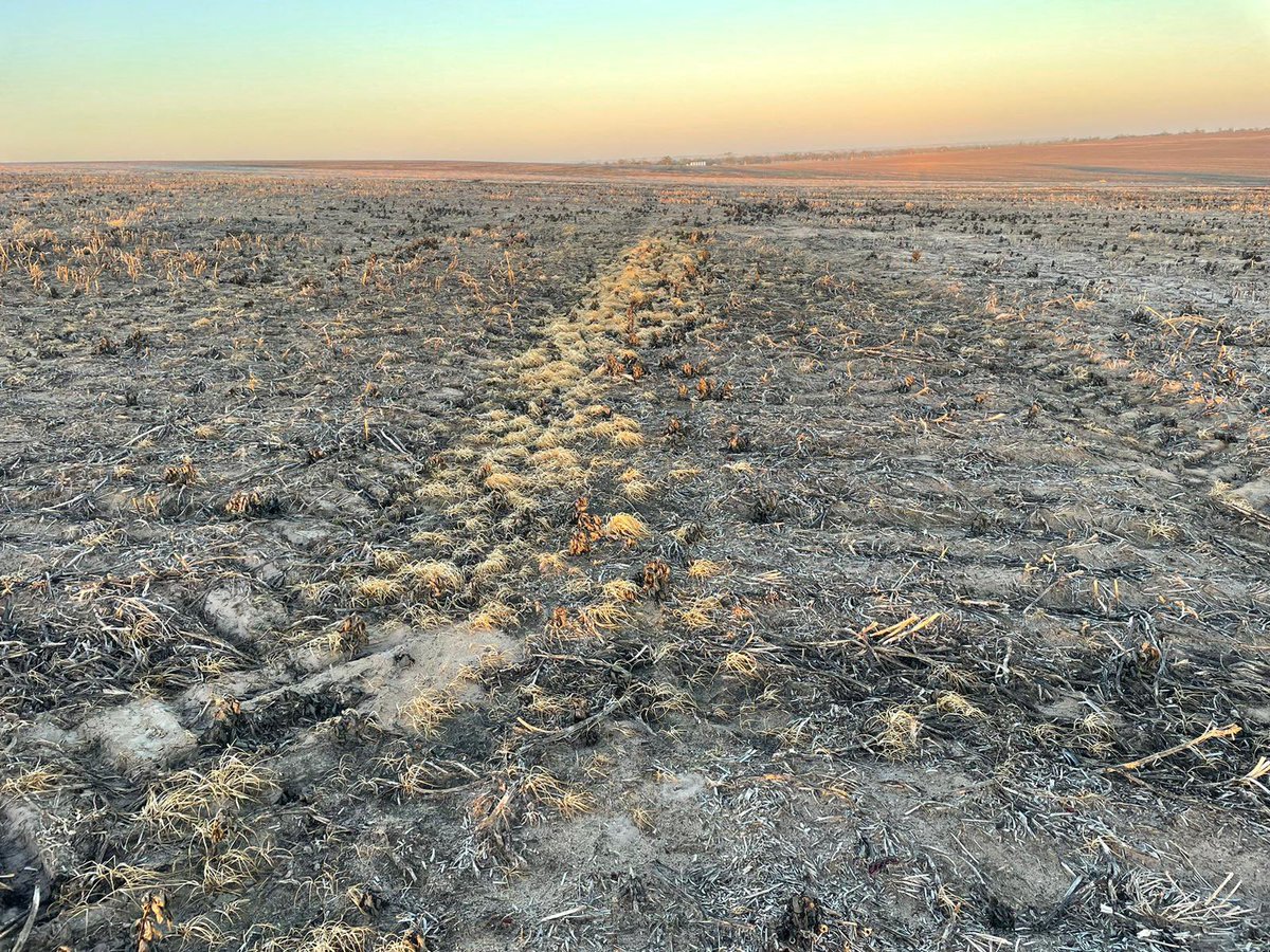 Rick Rundell-Gordon tweet media