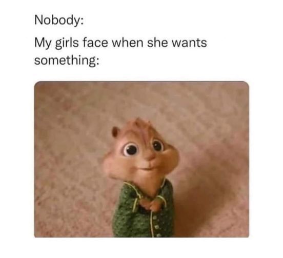 WholesomeMemes tweet media