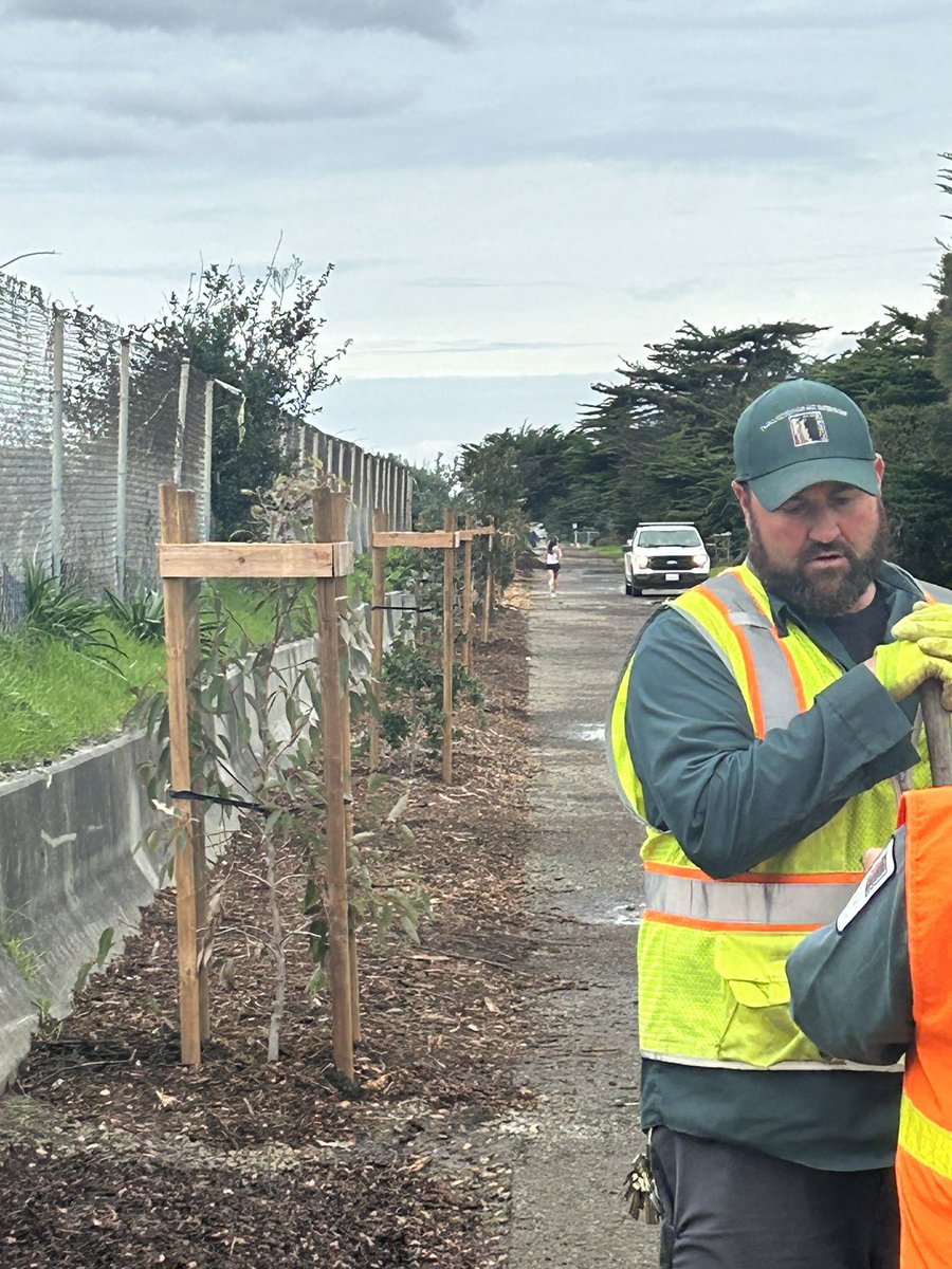 Really grateful for our hardworking #Berkeley staff and volunteers, Mayor @JesseArreguin, and councilmember @TaplinTerry or your leadership. Over 200 trees are being planted in Aquatic Park! The next planting date is March 9, come join us! 🌲