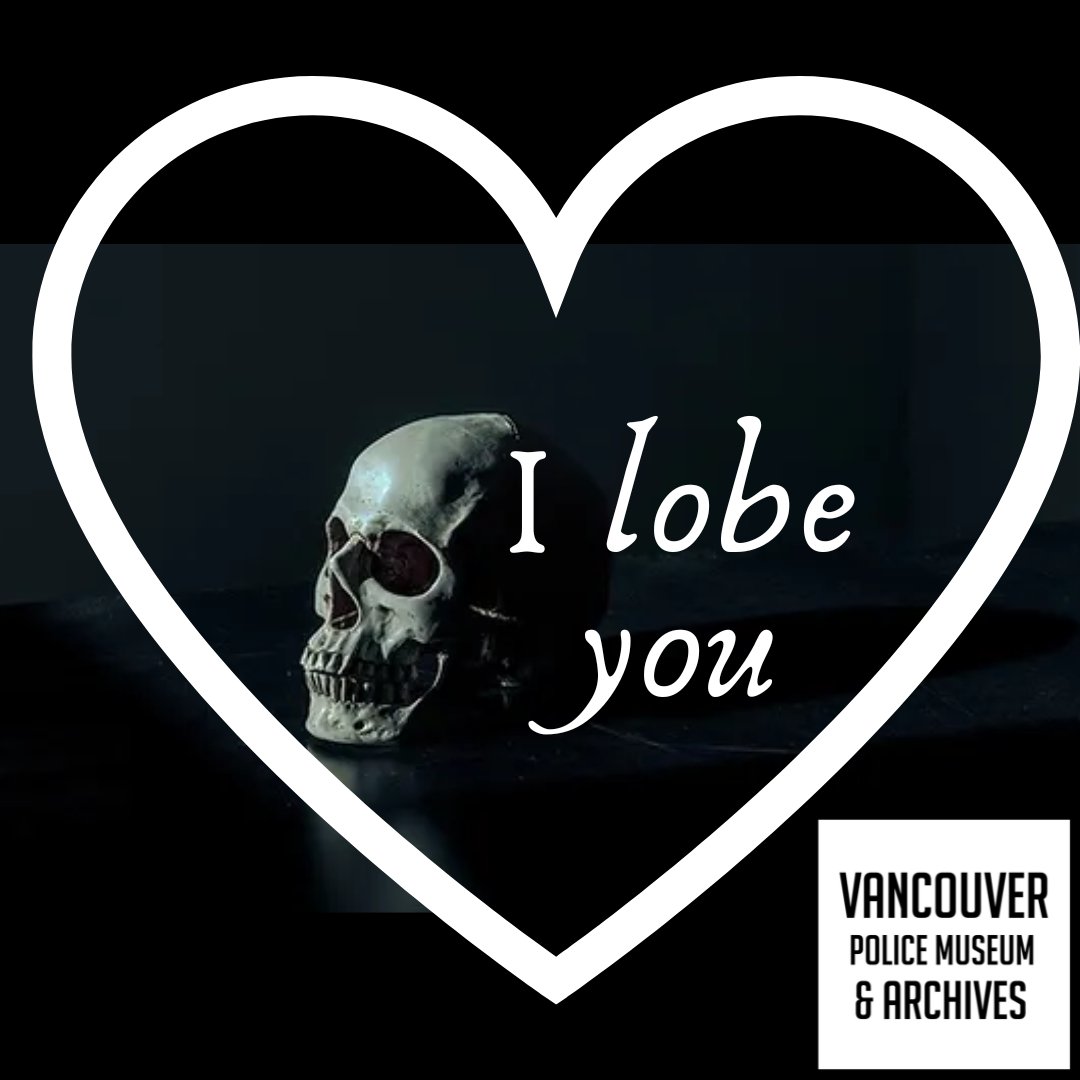 policemuseum's tweet photo. Dear Valentine,
I lobe you!
Get it? Cos it's a skull! It has a frontal lobe!!

If you also have an odd sense of humor perhaps you'd love to visit the VPMA this upcoming valentines week.
#valentines #valentinescard #valentinesfunny #romantic #vancouverbc #truecrime https://t.co/y7uaTB8kT2