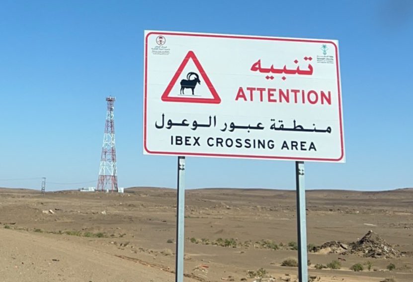 حمد | hamad tweet media