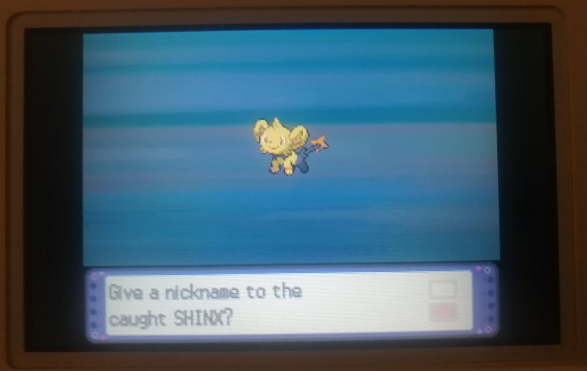 Shiny shinx ✨
Cómo me encanta su shiny
#Shinypokemon