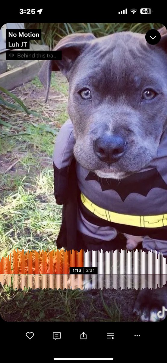 AfficialJT's tweet photo. No Motion by Luh JT on #SoundCloud 
https://t.co/c0P4D1S4Bl

GO RUN IT UP 🔥 SUM DIFFERENT https://t.co/pcEJ29oAsa