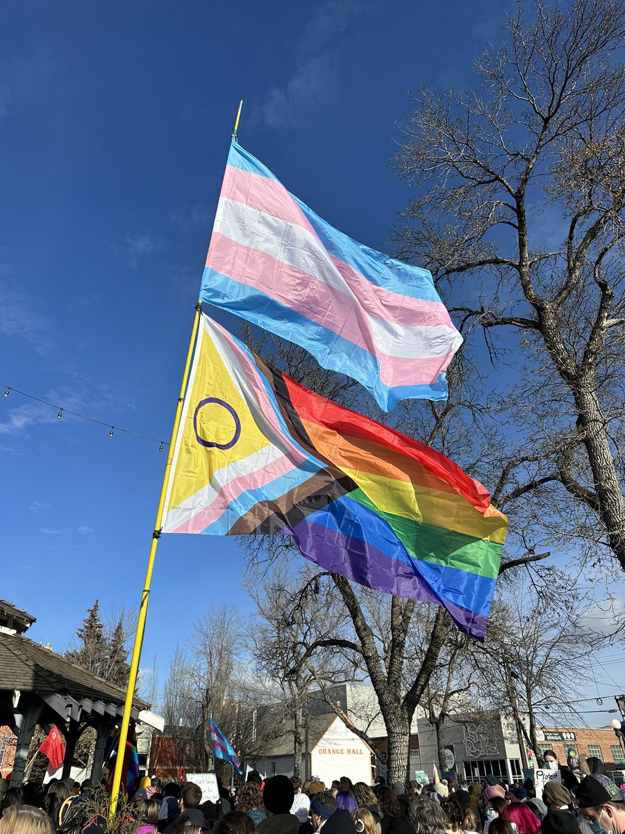 MericMoir's tweet photo. The Alberta Government has introduced dangerous and harmful legislation, and they need to abandon it completely. #ProtectTransKids https://t.co/PV7qcT2zkl