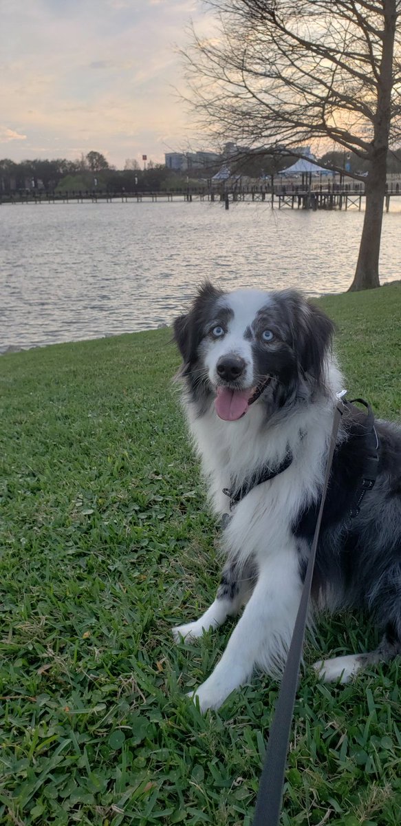 EvelDick tweet media