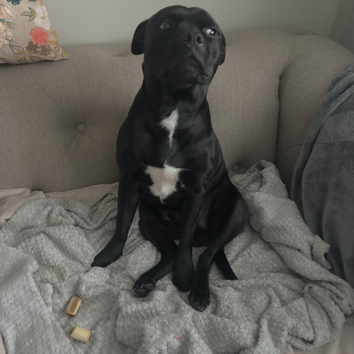 Baby Frank & his teddy, Edward 🧸🏴󠁧󠁢󠁷󠁬󠁳󠁿 tweet media