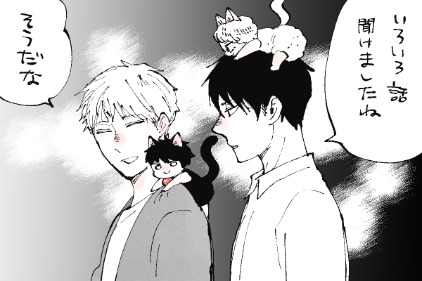 🐱キラキラにゃんこ生活
にゃんにゃん生活について 