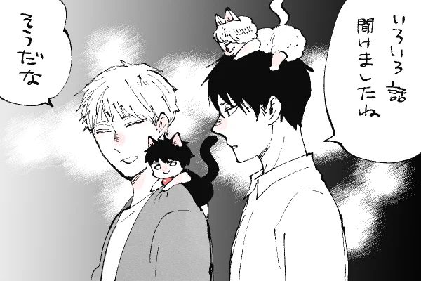 🐱キラキラにゃんこ生活
にゃんにゃん生活について 