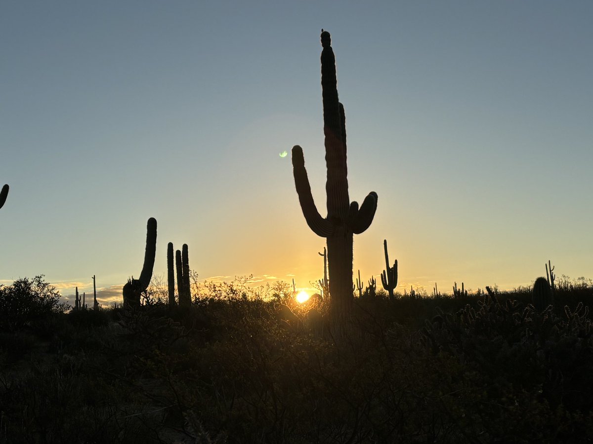 GLChristopher's tweet image. Catching sunrise on the Brown’s Mountain hike today. Scottsdale