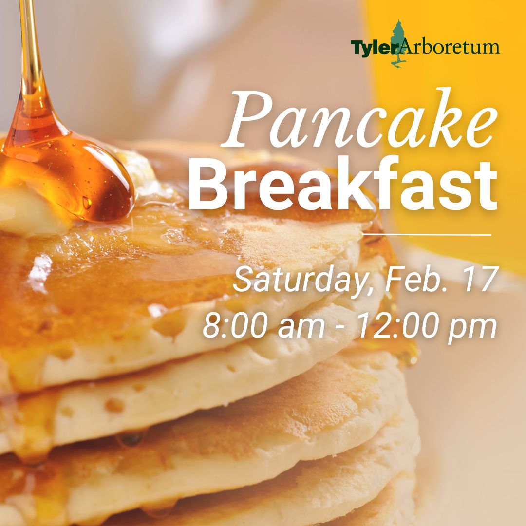 TylerArboretum's tweet image. It's Back! Indulge in an all-you-can-eat morning at Tyler Arboretum’s Pancake Breakfast Fundraiser on Saturday, 2/ 17

🕗 Drop by anytime between 8 am and 12 pm; the last serving is at noon.
👋 No reservations – pay at the Visitor Center on your way in. 

#delco #mainlinepa