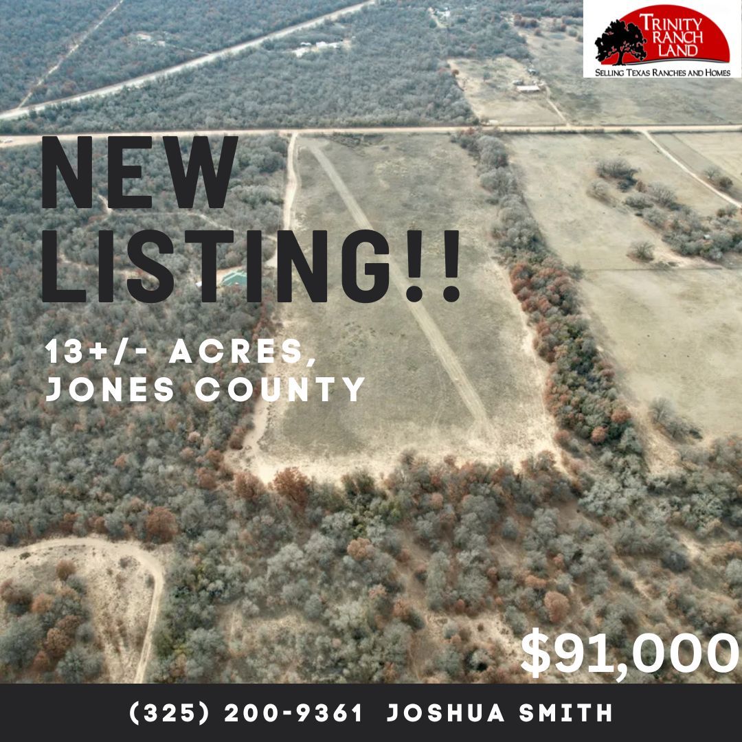 TrinityRanchLnd's tweet photo. ๐ฅ SHOUTOUT SATURDAY๐ฅ NEW Listings in Hawley TX!!
These great pieces of property begs for someone to paint their own portrait, because it's not just about owning land, but about creating a space that reflects the owner's individuality and vision!!
#TRLย #SellingTexas https://t.co/JAHgPFtQOU