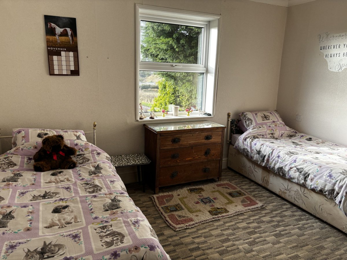 Showdigs - Your home on-tour, on-line tweet media