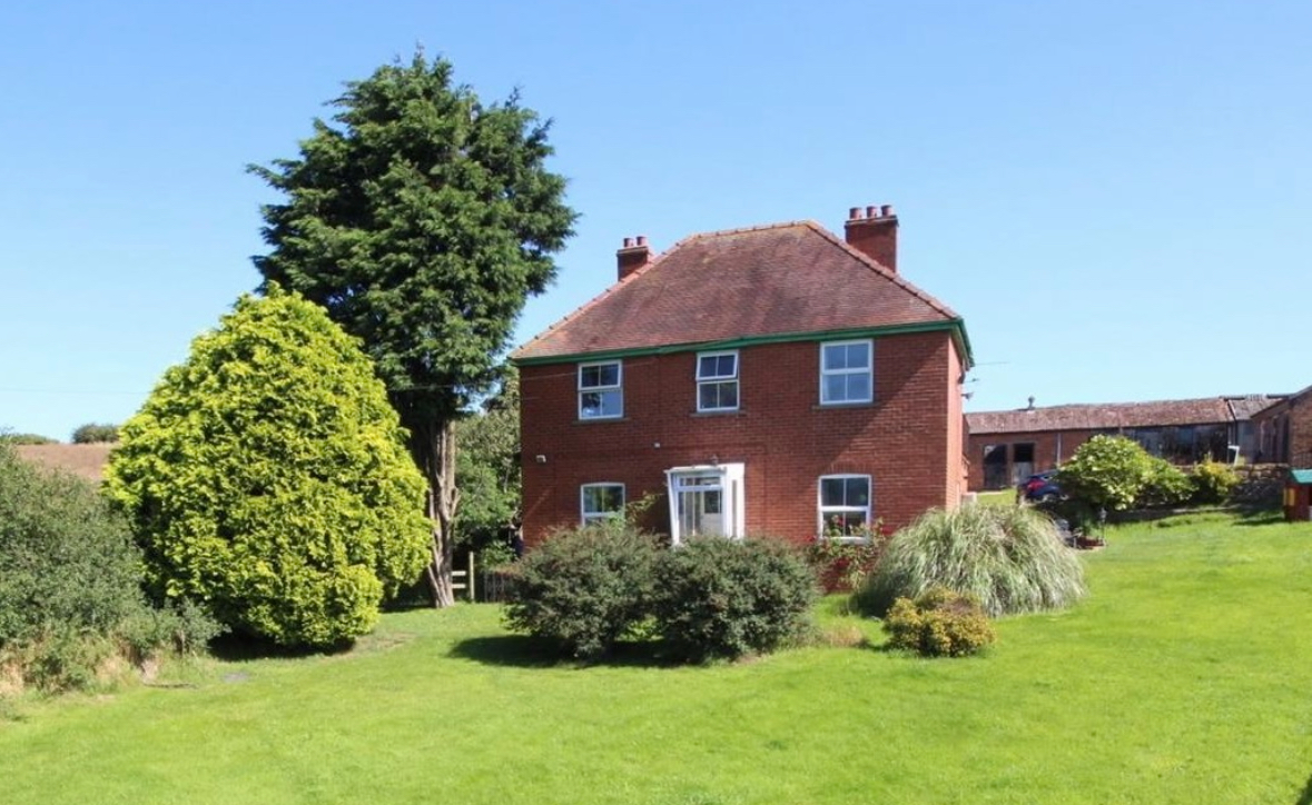 Showdigs - Your home on-tour, on-line tweet media