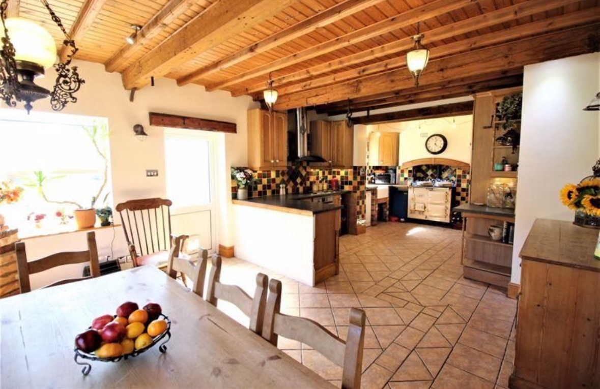 Showdigs - Your home on-tour, on-line tweet media