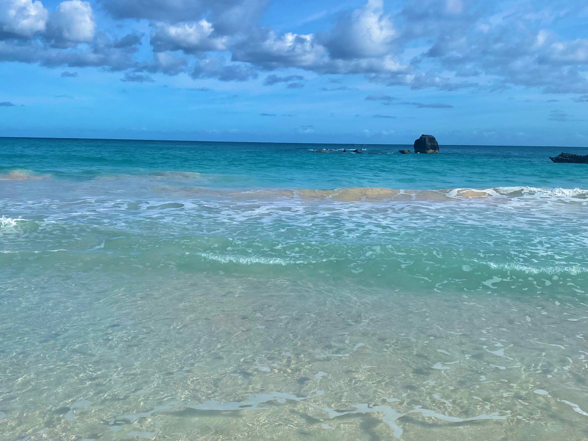Nothing beats a bit of vitamin sea in the winter. 🏝️ @Bermuda #Travel #Explore #Bermuda #HorseshoeBayBeach