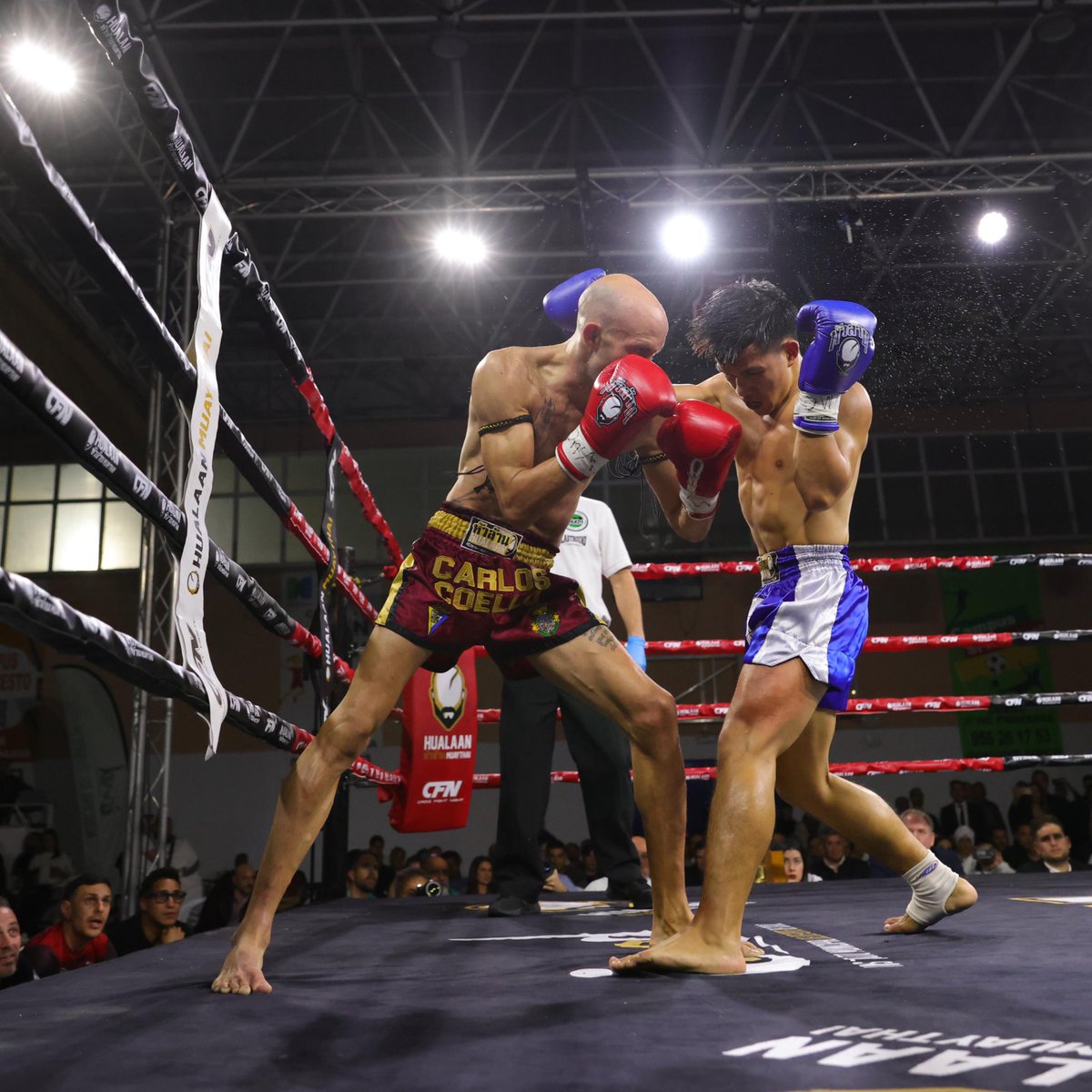 Cadiz_CF's tweet photo. 🥇🥇🥇🥇 El gaditano, y cadista, nuestro queridísimo, Carlos Coello (@coellomuaythai), se ha convertido en casa en: TETRACAMPEÓN MUNDIAL de Muay Thai.

💪 ¡No tienes límites, Carlos!

👏 ¡ENHORABUENA, CAMPEÓN! https://t.co/o7pHWX8ixL