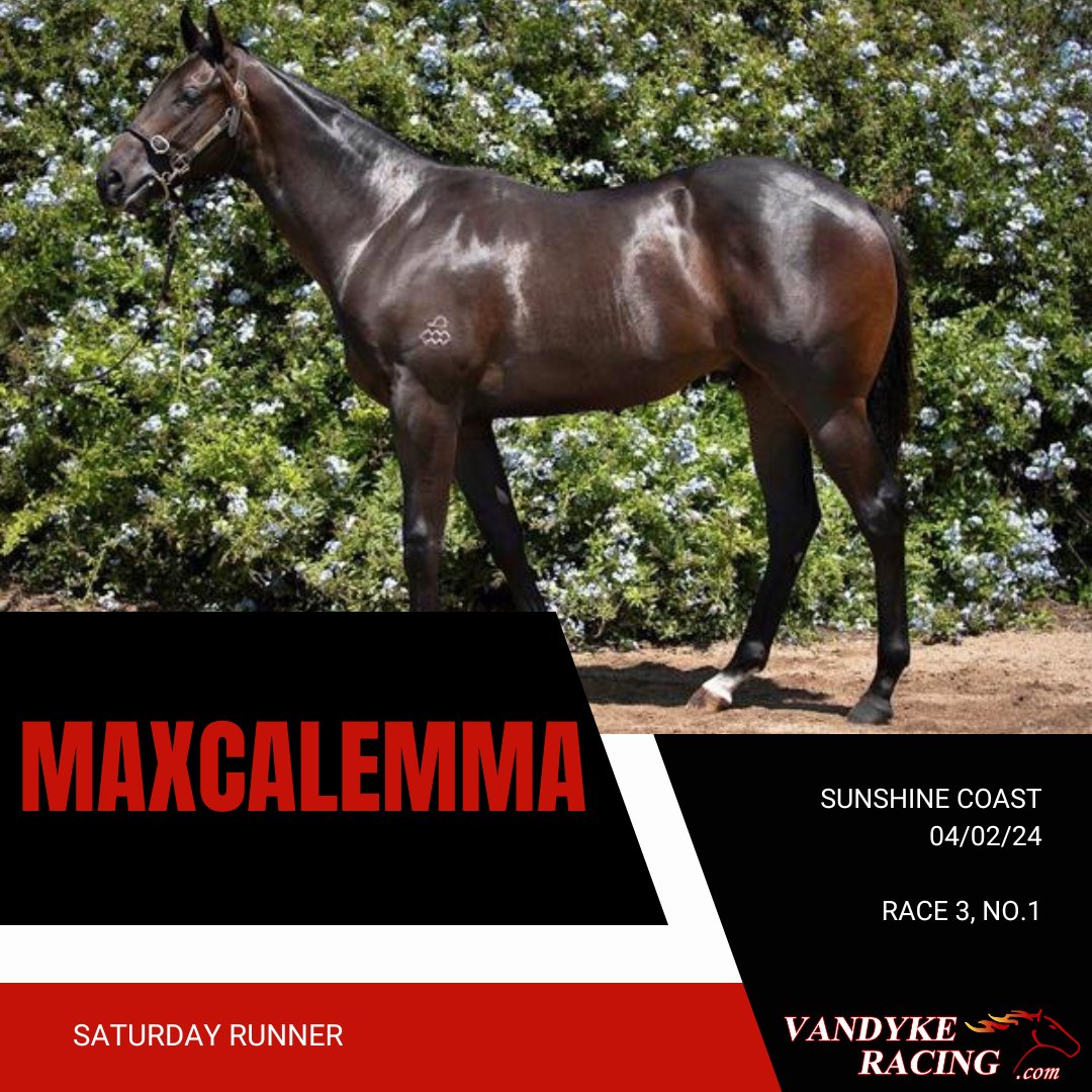 We're hoping to keep the recent run going today @scturfclub 👇

🔴⚪🔵 Talented 3YO BOHEMIAN LAD resumes after an excellent trial 
⭐ MAXCALEMMA makes his 3rd start for the stable with new jockey @wilsontaylor99 in the saddle

Best of luck to all owners 💪