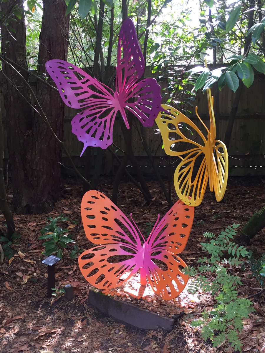 A late entry for #Top4Wings on #Top4Theme @obligatraveler @intheolivegrov1 @OdetteDunn Plane wings over the Buccaneer Archpelago; drying wings; street art wings; artistic wings