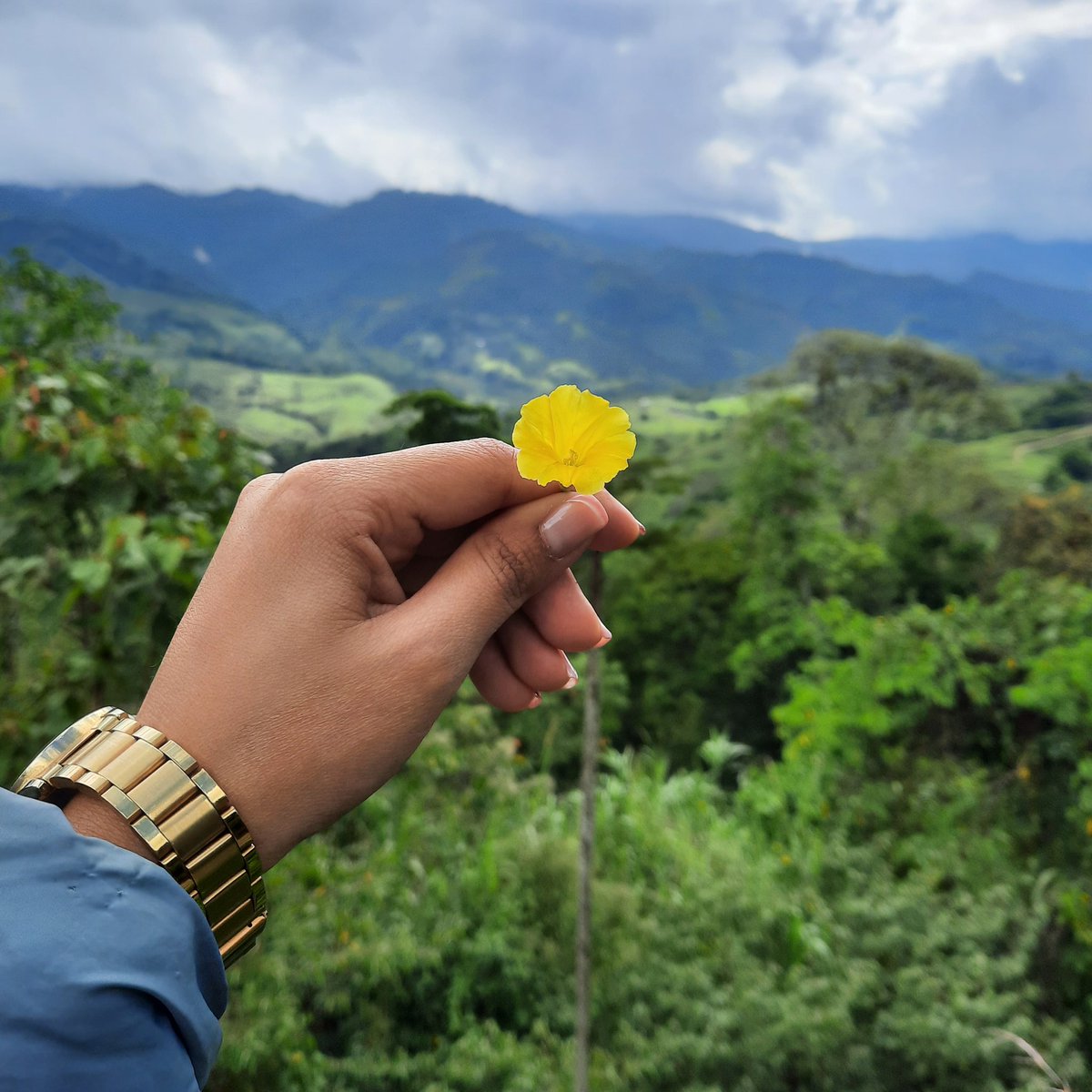 Angie68785407's tweet photo. Esos paisajes para desconectar🍃💛 https://t.co/7D478AcdNy