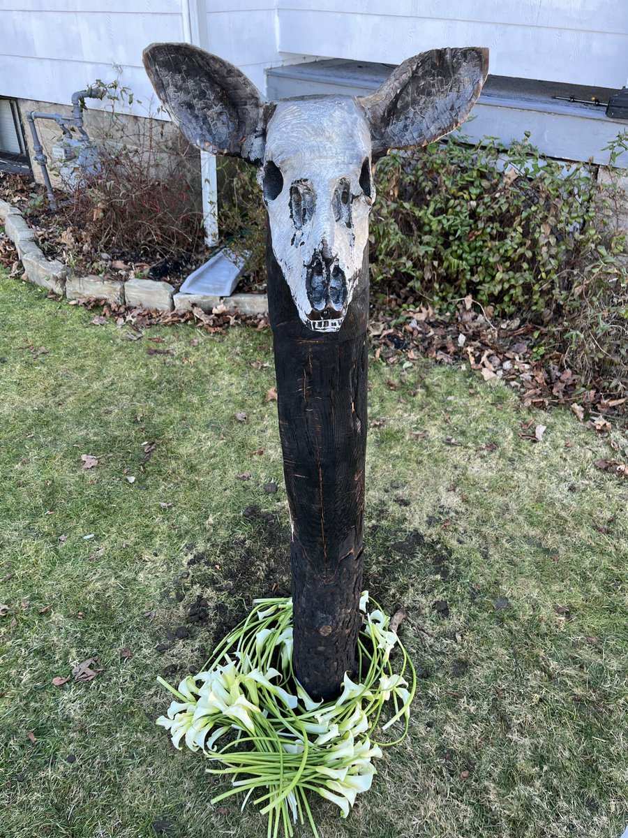 Ashley Dawson tweet media