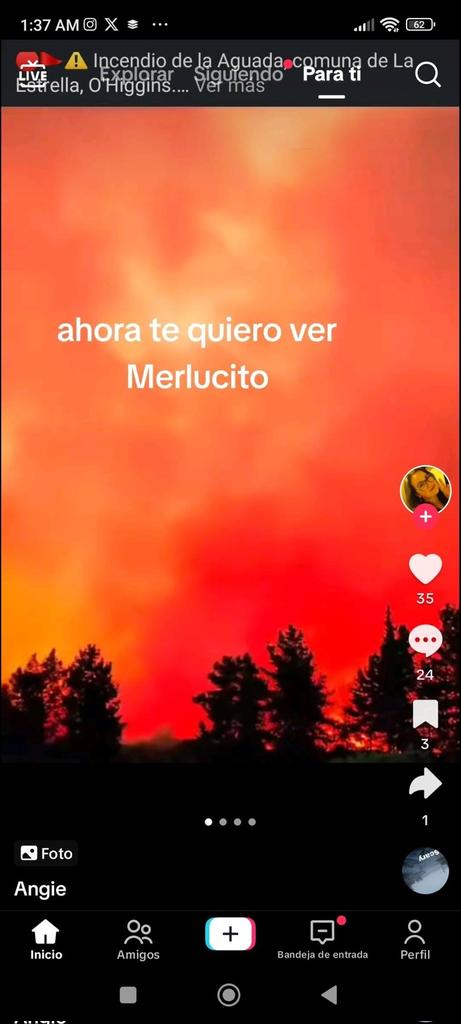 EowynHD_pb's tweet photo. @ValdebenitoNata Hay gente en Chile que le tiene tanto odio a Boric que esta desgracia la disfrutan sólo para tirar mierd@, están todos poniendose de acuerdo para esparcir odio. No me extrañaria que todo esto fuera orquestado, les viene de perilla a estos miserables https://t.co/XHrDFi2SMO