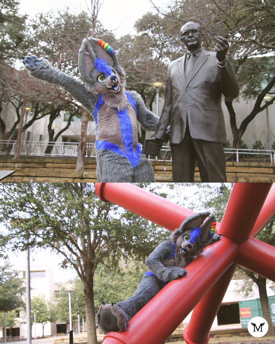 retrograde_news's tweet photo. On Halloween, you may see something unexpected: a parade of students dressed up as humanoid animals, with furry bodies and cartoonish eyes. These Comets are furries, and they say their community offers opportunities for engagement and emotional support.

https://t.co/vVJJ1ONc5s https://t.co/EoVBgu41sz